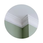 Detailed Cornicing, Coving & Skirting